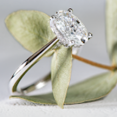 Seller Image